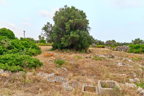 Terra a Racale, Lecce, Racale - € 360.000 | Ref: RAIL-T.ED.-360 - foto 14