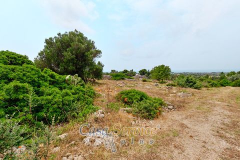 Terra a Racale, Lecce, Racale - € 360.000 | Ref: RAIL-T.ED.-360 - foto 15