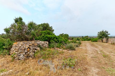 Terra a Racale, Lecce, Racale - € 360.000 | Ref: RAIL-T.ED.-360 - foto 16