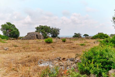 Terra a Racale, Lecce, Racale - € 360.000 | Ref: RAIL-T.ED.-360 - foto 17
