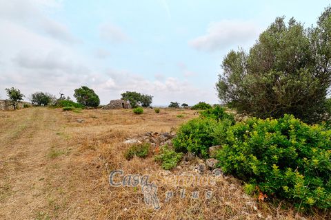 Terra a Racale, Lecce, Racale - € 360.000 | Ref: RAIL-T.ED.-360 - foto 18