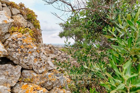 Terra a Racale, Lecce, Racale - € 360.000 | Ref: RAIL-T.ED.-360 - foto 25