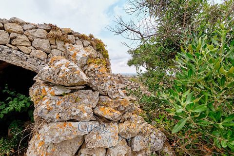 Terra a Racale, Lecce, Racale - € 360.000 | Ref: RAIL-T.ED.-360 - foto 26