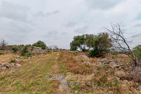 Terra a Racale, Lecce, Racale - € 360.000 | Ref: RAIL-T.ED.-360 - foto 33