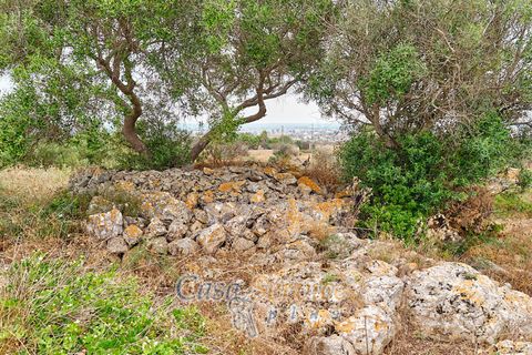 Terra a Racale, Lecce, Racale - € 360.000 | Ref: RAIL-T.ED.-360 - foto 34
