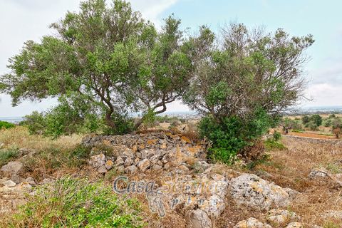 Terra a Racale, Lecce, Racale - € 360.000 | Ref: RAIL-T.ED.-360 - foto 35