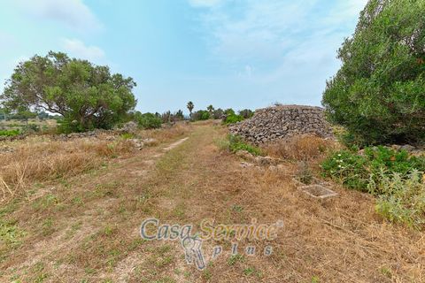 Terra a Racale, Lecce, Racale - € 360.000 | Ref: RAIL-T.ED.-360 - foto 37