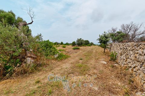 Terra a Racale, Lecce, Racale - € 360.000 | Ref: RAIL-T.ED.-360 - foto 38