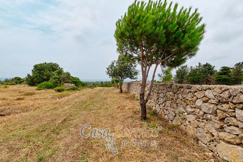 Terra a Racale, Lecce, Racale - € 360.000 | Ref: RAIL-T.ED.-360 - foto 39