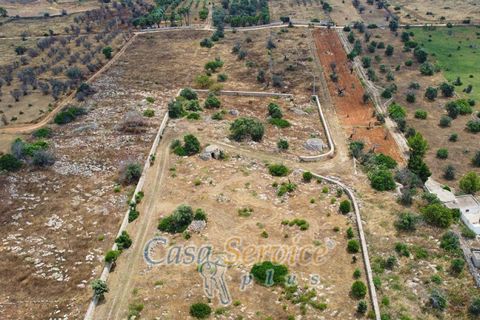 Terra a Racale, Lecce, Racale - € 360.000 | Ref: RAIL-T.ED.-360 - foto 40
