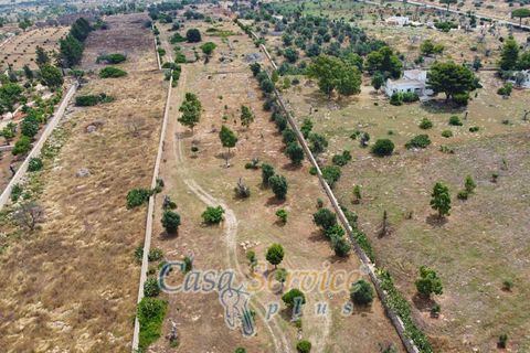 Terra a Racale, Lecce, Racale - € 360.000 | Ref: RAIL-T.ED.-360 - foto 42