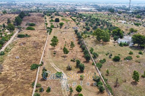 Terra a Racale, Lecce, Racale - € 360.000 | Ref: RAIL-T.ED.-360 - foto 43