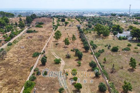 Terra a Racale, Lecce, Racale - € 360.000 | Ref: RAIL-T.ED.-360 - foto 44