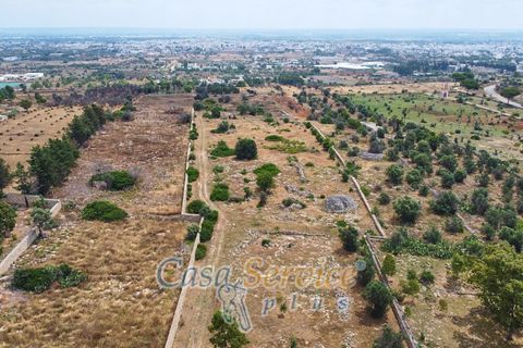 Terra a Racale, Lecce, Racale - € 360.000 | Ref: RAIL-T.ED.-360 - foto 45