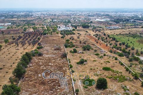 Terra a Racale, Lecce, Racale - € 360.000 | Ref: RAIL-T.ED.-360 - foto 46