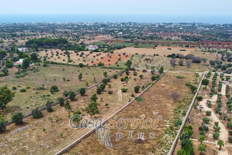 Terra a Racale, Lecce, Racale - € 360.000 | Ref: RAIL-T.ED.-360 - foto 47