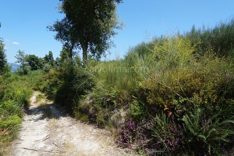 Terra a Bela, Viana do Castelo, Bela - € 8.000 | Ref: 3624 - foto 2