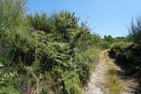 Terra a Bela, Viana do Castelo, Bela - € 8.000 | Ref: 3624 - foto 3