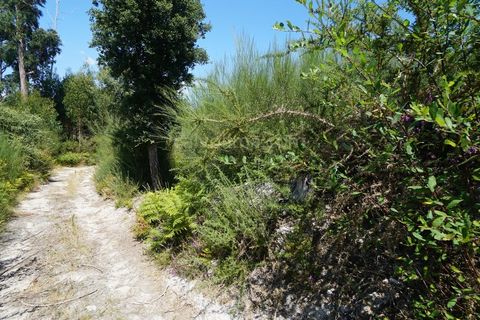 Terra a Bela, Viana do Castelo, Bela - € 8.000 | Ref: 3624 - foto 4