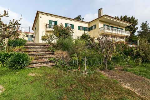 Landejendom i Lousa, Coimbra, Lousa - € 750.000 | Ref: 0648/23 - foto 1