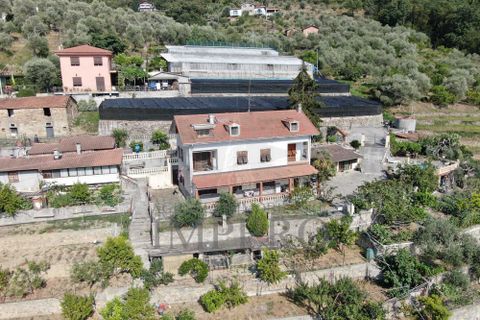 Villa a Soldano, Imperia, Soldano - € 430.000 | Ref: 22402 - foto 39