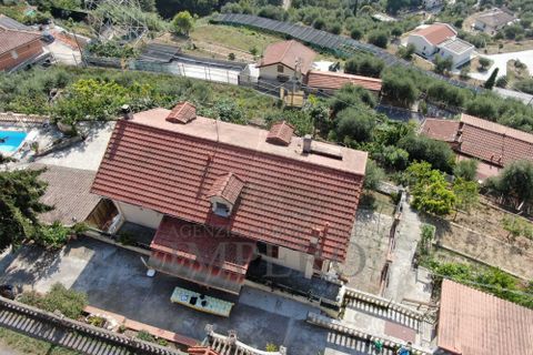 Villa a Soldano, Imperia, Soldano - € 430.000 | Ref: 22402 - foto 46
