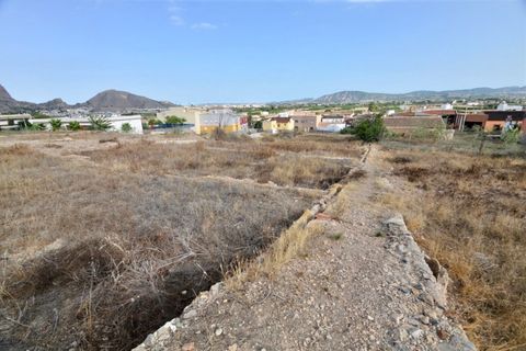 Landejendom i Orihuela, Alicante, Orihuela - € 850.000 | Ref: ALM-1632 - foto 12