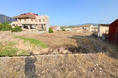 Landejendom i Orihuela, Alicante, Orihuela - € 850.000 | Ref: ALM-1632 - foto 18