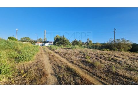 Terra a Sintra, Lisbon, Sintra - € 4.215.000 | Ref: SÒL_4269 - foto 4
