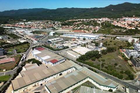 Terra a Sintra, Lisbon, Sintra - € 4.215.000 | Ref: SÒL_4269 - foto 7