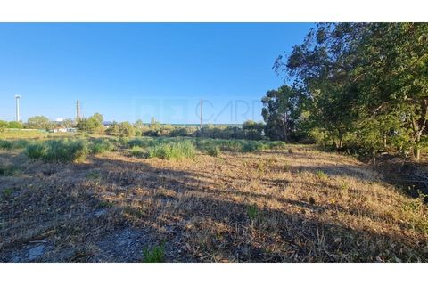 Terra a Sintra, Lisbon, Sintra - € 4.215.000 | Ref: SÒL_4269 - foto 12