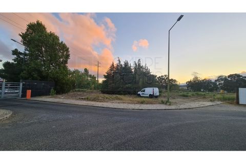 Terra a Sintra, Lisbon, Sintra - € 4.215.000 | Ref: SÒL_4269 - foto 14