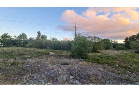Terra a Sintra, Lisbon, Sintra - € 4.215.000 | Ref: SÒL_4269 - foto 15