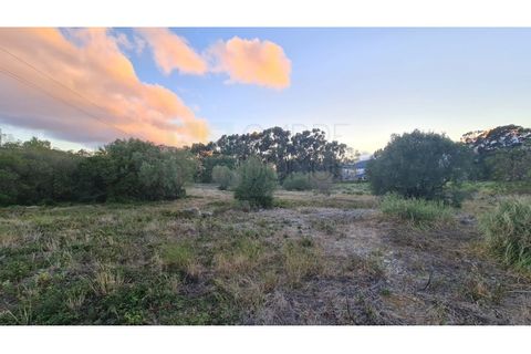 Terra a Sintra, Lisbon, Sintra - € 4.215.000 | Ref: SÒL_4269 - foto 16