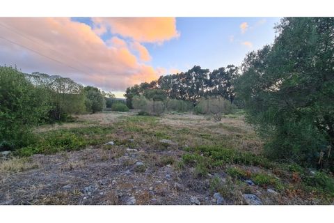 Terra a Sintra, Lisbon, Sintra - € 4.215.000 | Ref: SÒL_4269 - foto 17