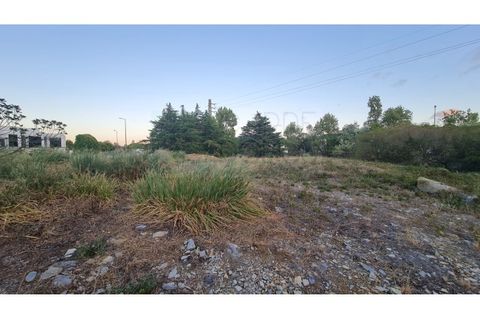 Terra a Sintra, Lisbon, Sintra - € 4.215.000 | Ref: SÒL_4269 - foto 19
