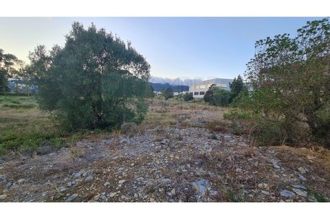 Terra a Sintra, Lisbon, Sintra - € 4.215.000 | Ref: SÒL_4269 - foto 20