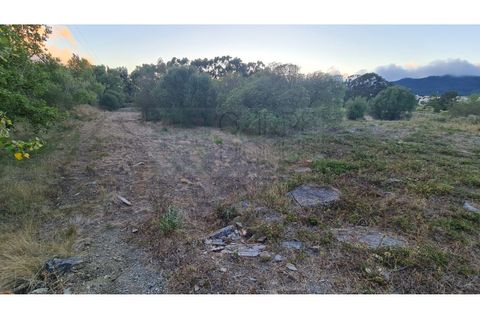 Terra a Sintra, Lisbon, Sintra - € 4.215.000 | Ref: SÒL_4269 - foto 21