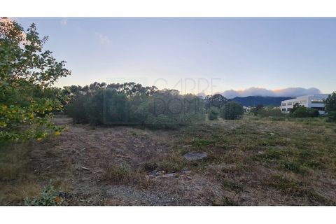 Terra a Sintra, Lisbon, Sintra - € 4.215.000 | Ref: SÒL_4269 - foto 22