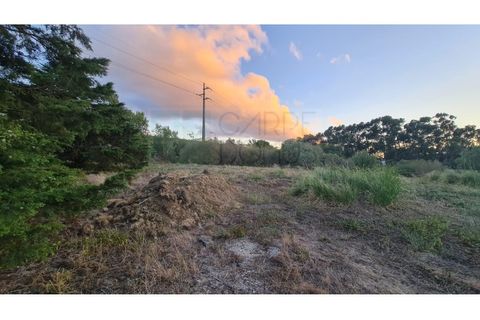 Terra a Sintra, Lisbon, Sintra - € 4.215.000 | Ref: SÒL_4269 - foto 24