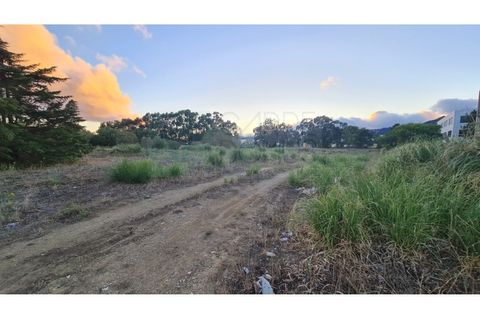 Terra a Sintra, Lisbon, Sintra - € 4.215.000 | Ref: SÒL_4269 - foto 25