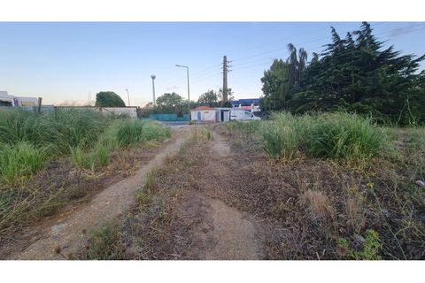 Terra a Sintra, Lisbon, Sintra - € 4.215.000 | Ref: SÒL_4269 - foto 26