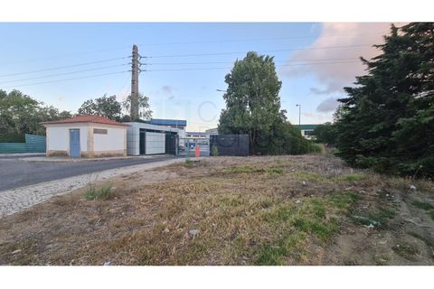 Terra a Sintra, Lisbon, Sintra - € 4.215.000 | Ref: SÒL_4269 - foto 28
