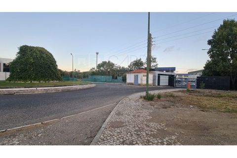 Terra a Sintra, Lisbon, Sintra - € 4.215.000 | Ref: SÒL_4269 - foto 29