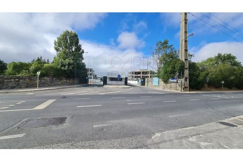Terra a Sintra, Lisbon, Sintra - € 4.215.000 | Ref: SÒL_4269 - foto 38