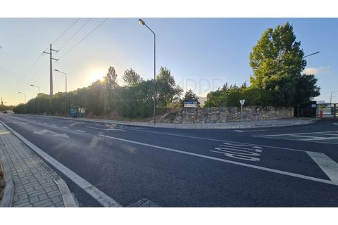Terra a Sintra, Lisbon, Sintra - € 4.215.000 | Ref: SÒL_4269 - foto 39