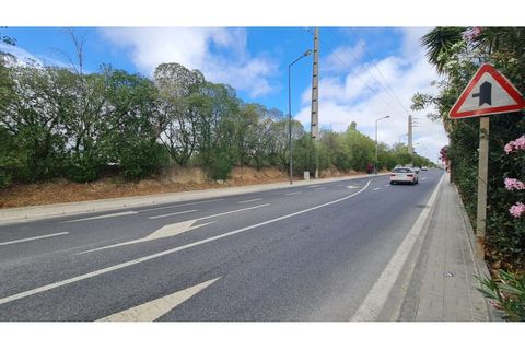 Terra a Sintra, Lisbon, Sintra - € 4.215.000 | Ref: SÒL_4269 - foto 41