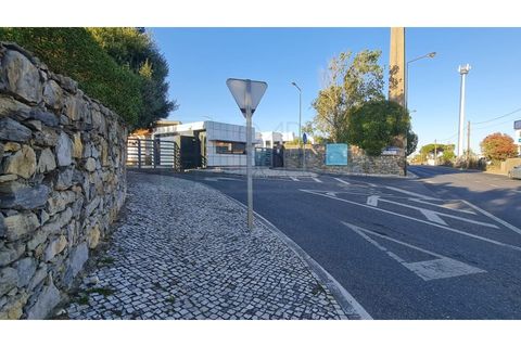 Terra a Sintra, Lisbon, Sintra - € 4.215.000 | Ref: SÒL_4269 - foto 42