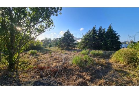 Terra a Sintra, Lisbon, Sintra - € 4.215.000 | Ref: SÒL_4269 - foto 43