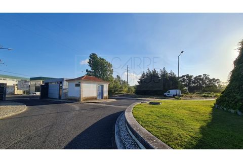 Terra a Sintra, Lisbon, Sintra - € 4.215.000 | Ref: SÒL_4269 - foto 44